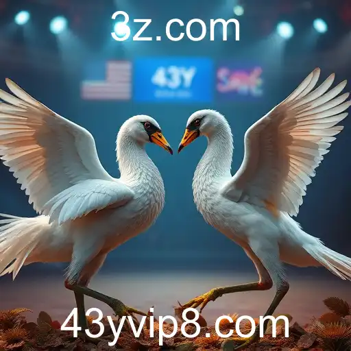 Gaming Experience 43y - 800+ Premium and Exclusive Games